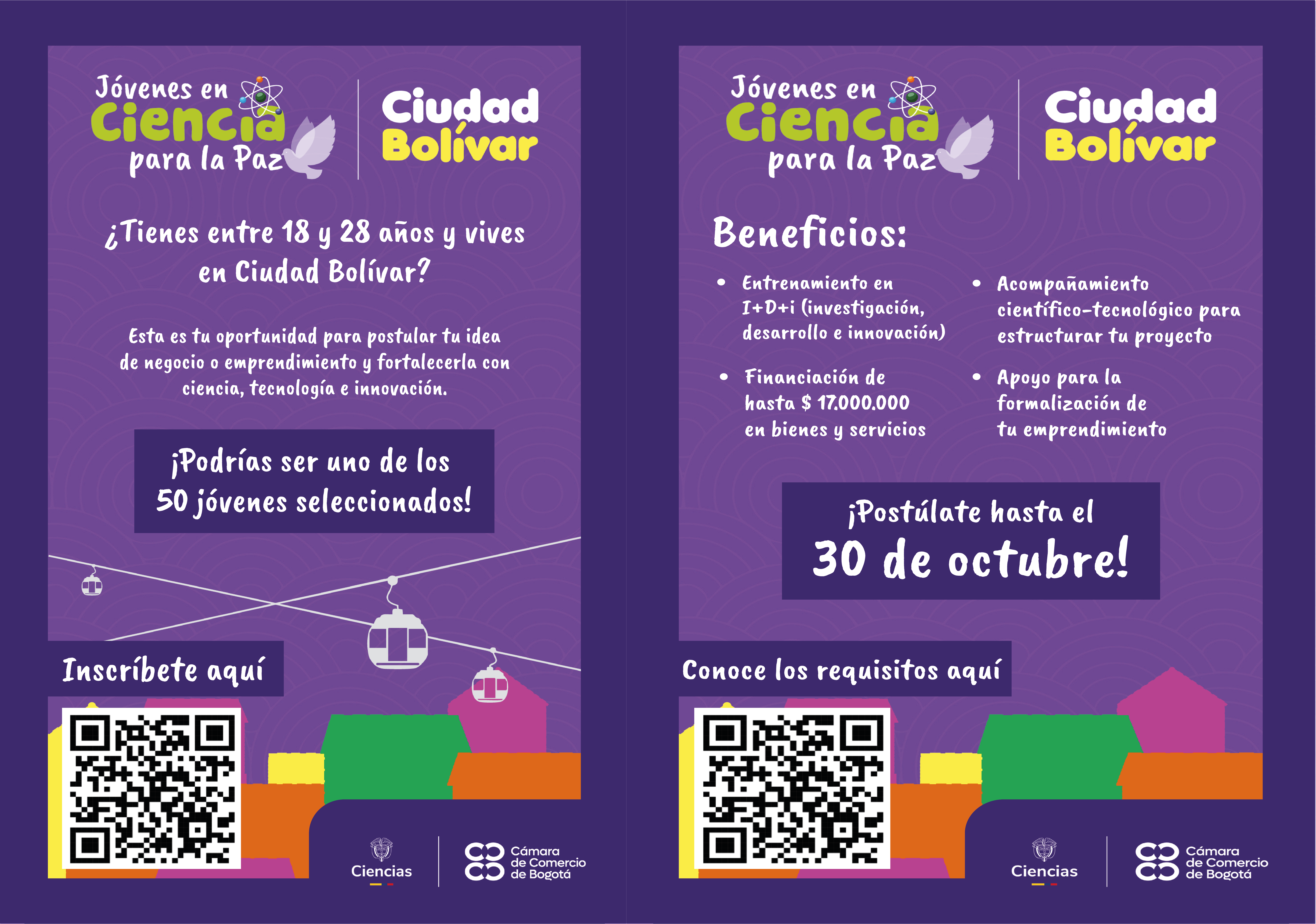 jovenes