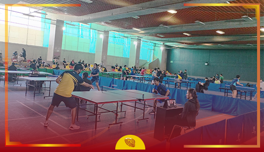 tenis de mesa