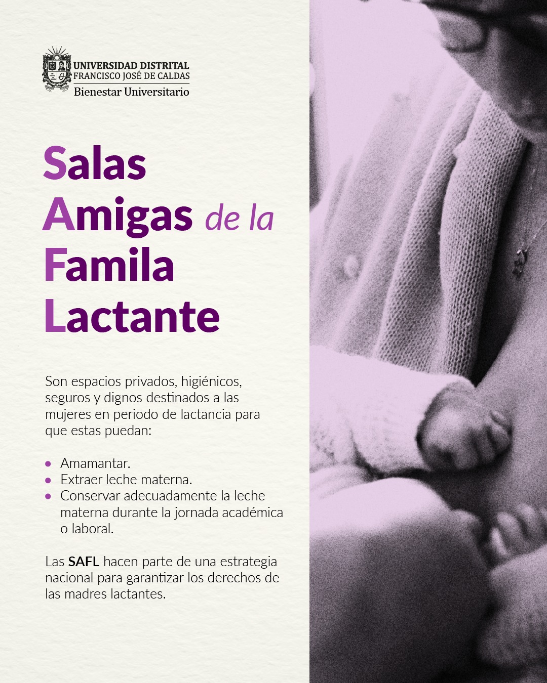 Salas Lactante