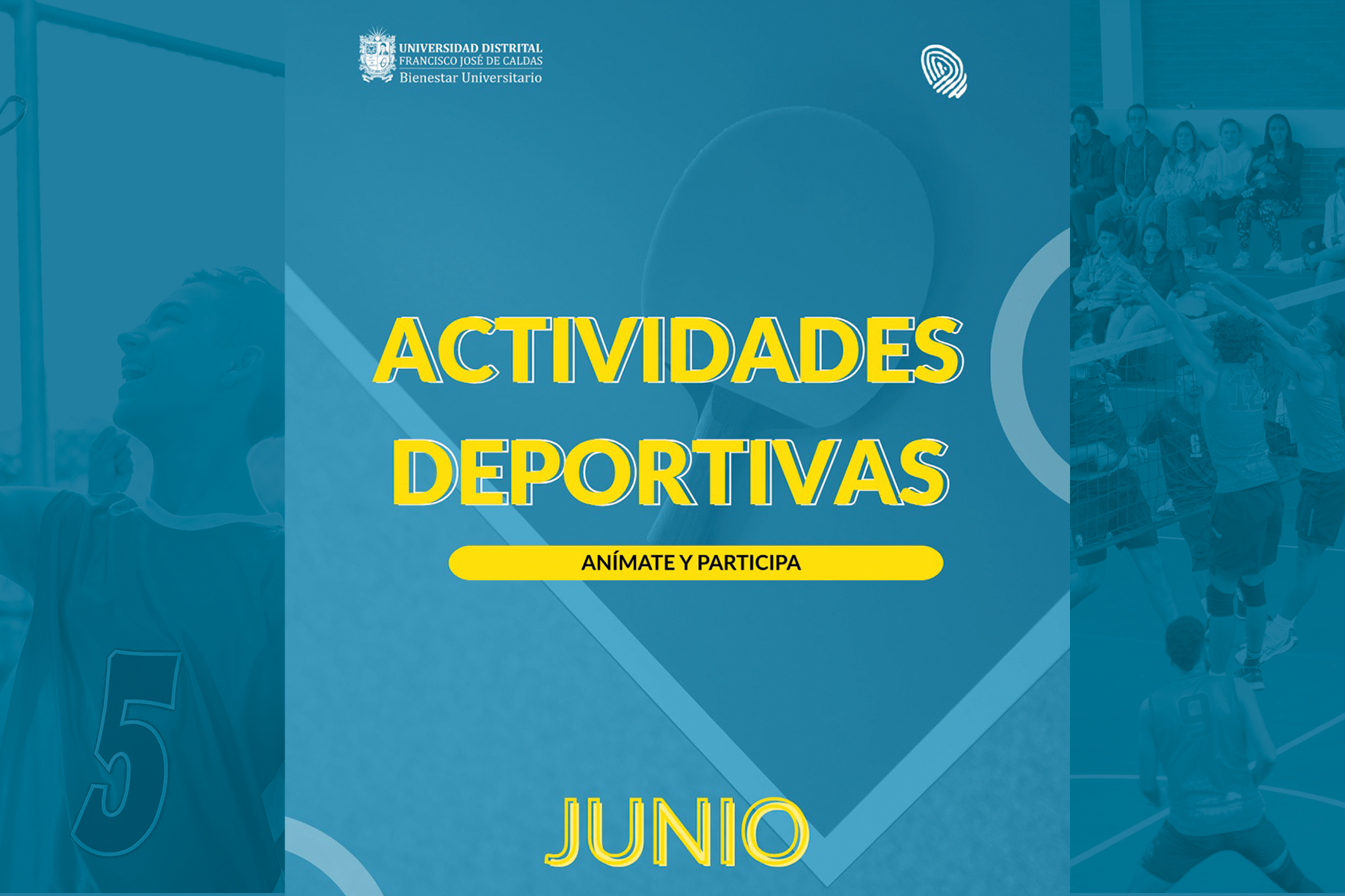actividades