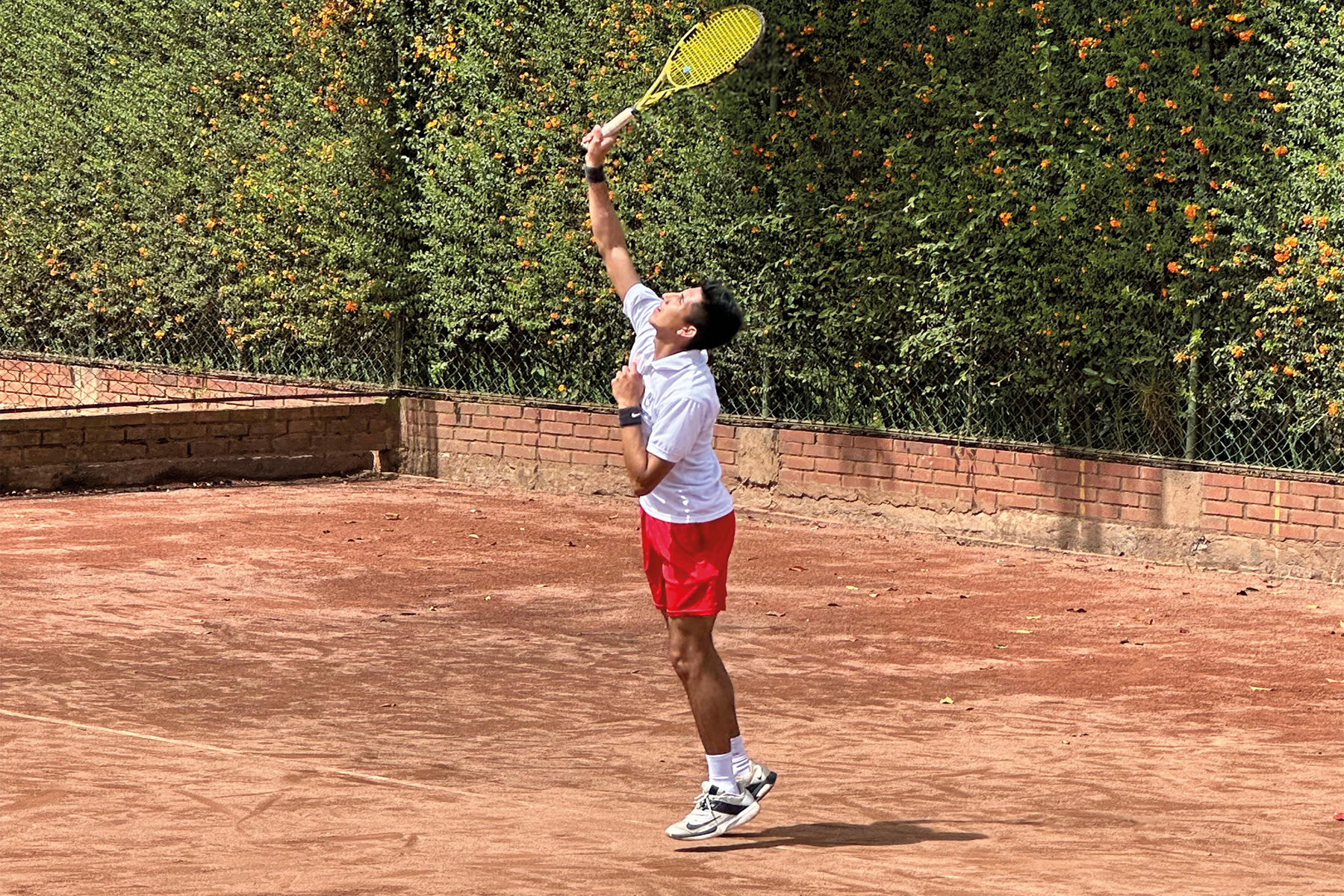 tenis