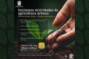 publicación Actividades de Agricultura Urbana - Huerta Guaia Xique