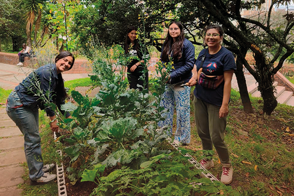 publicación Culmina con éxito el proceso de participación ambiental "Territorios Vivos"